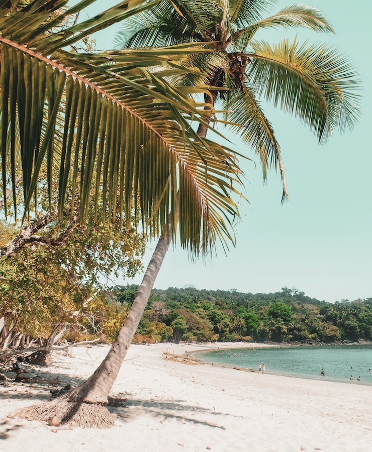 Manuel Antonio National Park in Costa Rica.