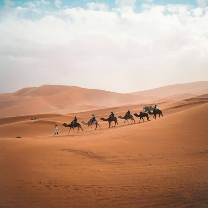 The Sahara desert, in Morocco.