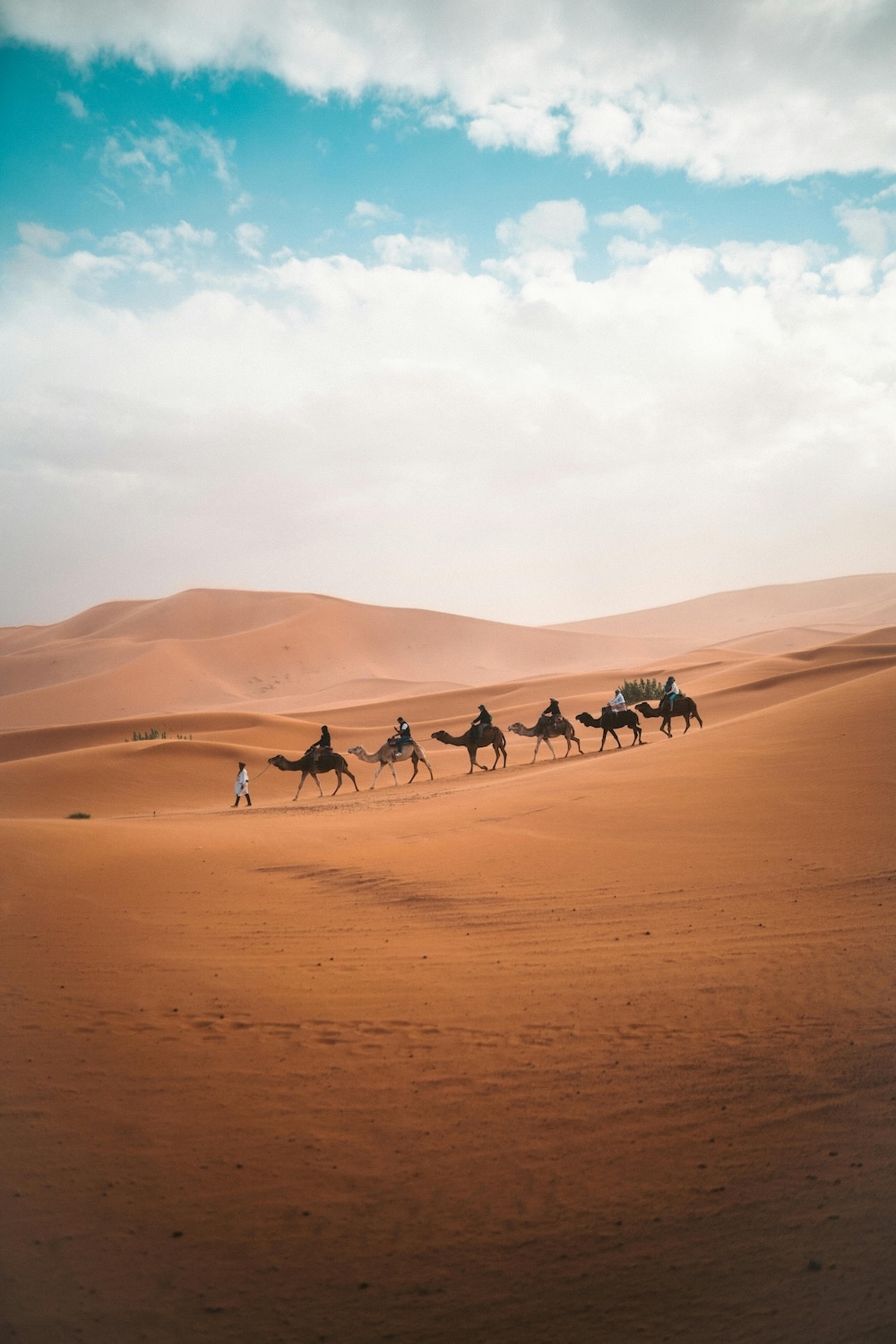 The Sahara desert, in Morocco.