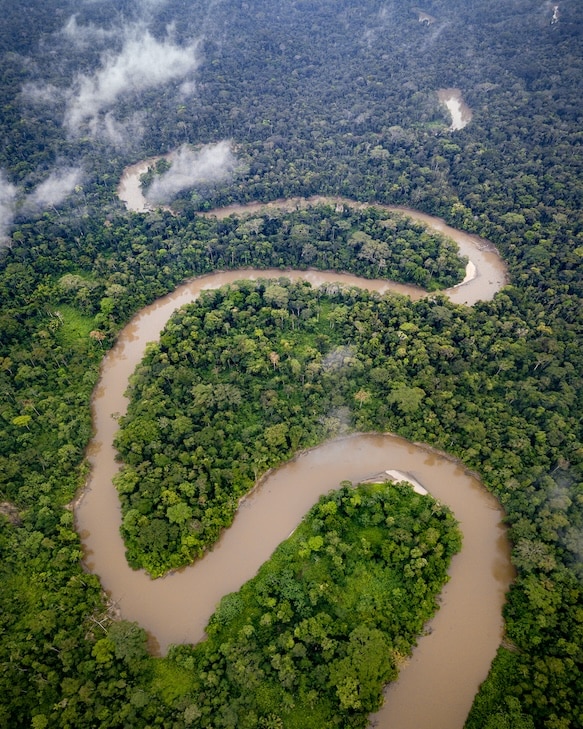 The Ecuadorian Amazon.