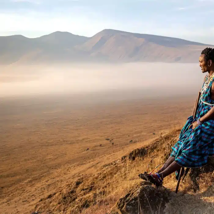 The desert plains of Tanzania, Africa.