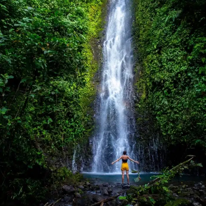 One of many stunning waterfalls in the lush jungle paradise of Costa Rica.