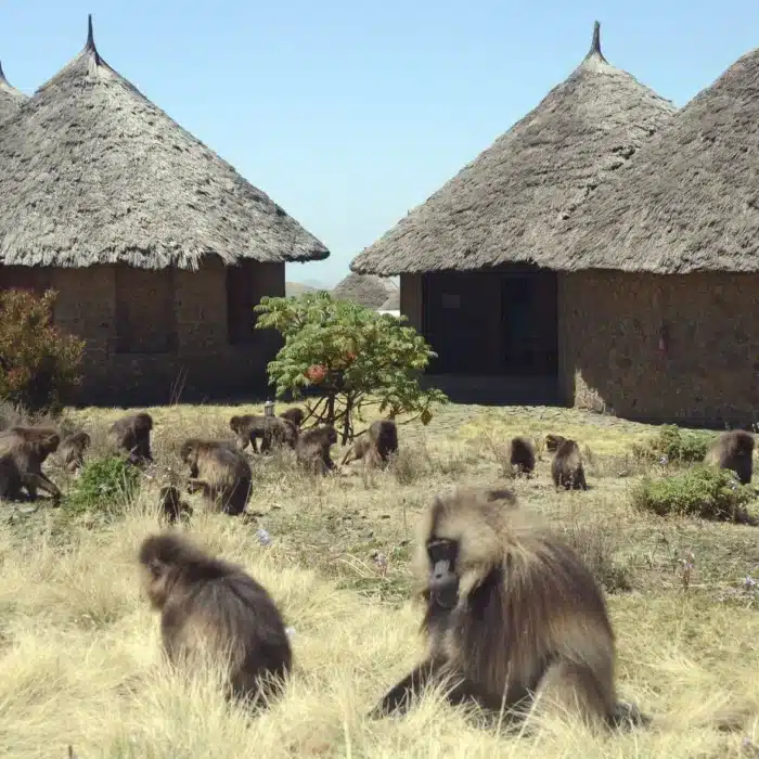 Hotel in the Semien Mountains of Northern Ethiopia.