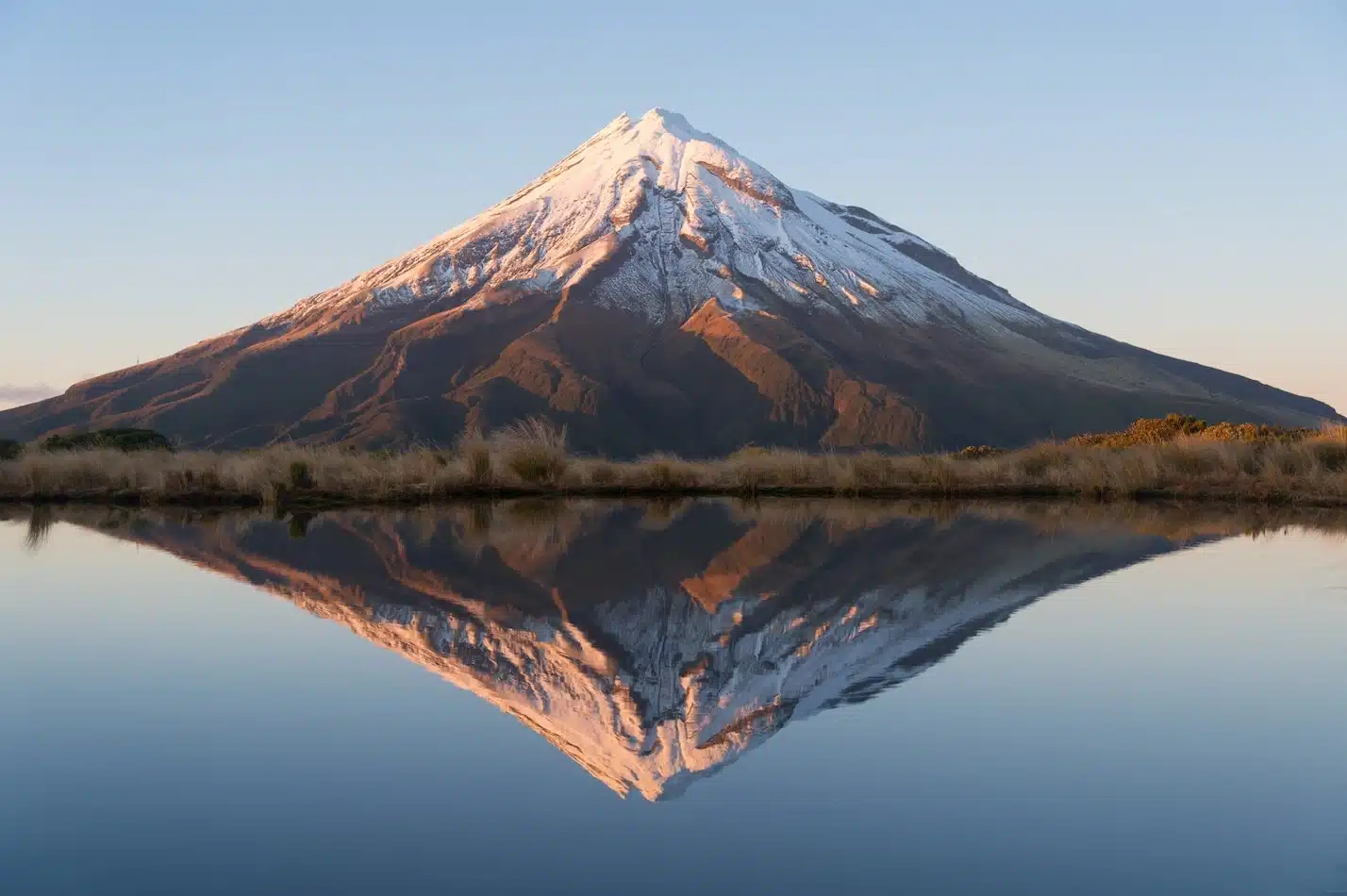 best of new zealand