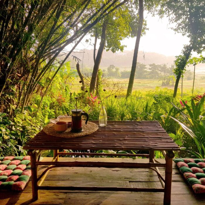 A quite Airbnb overlooking rice paddies in Yogyakarta, Indonesia