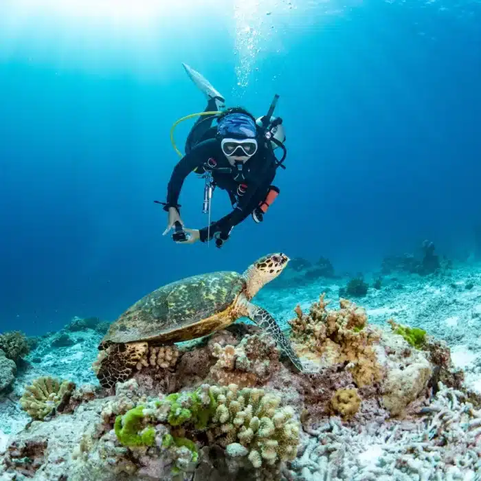 Eco Dive resort in Vanuatu.